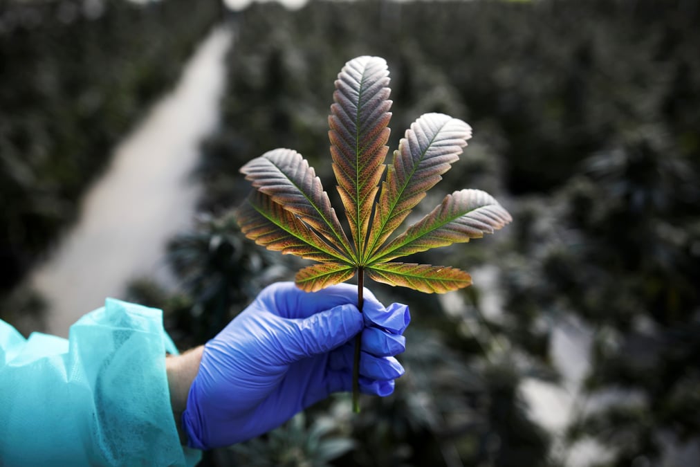 Aphria, a suivre a wall street