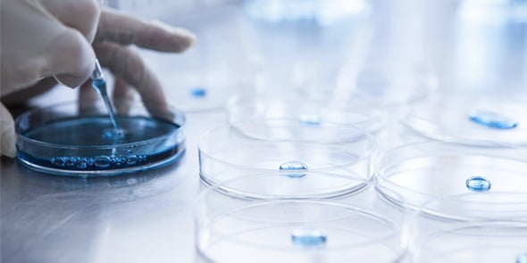 Biotechnologie