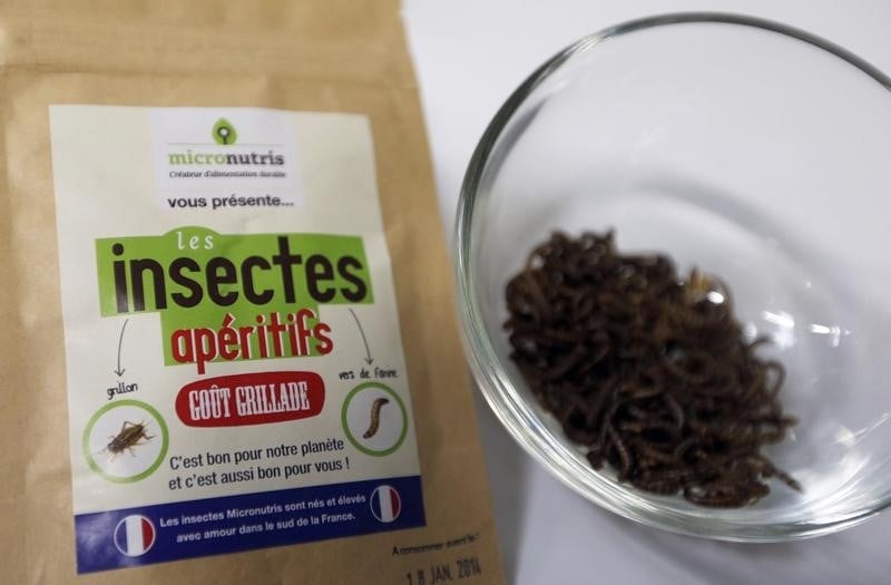 Micronutris, leader europeen des insectes comestibles, leve des fonds
