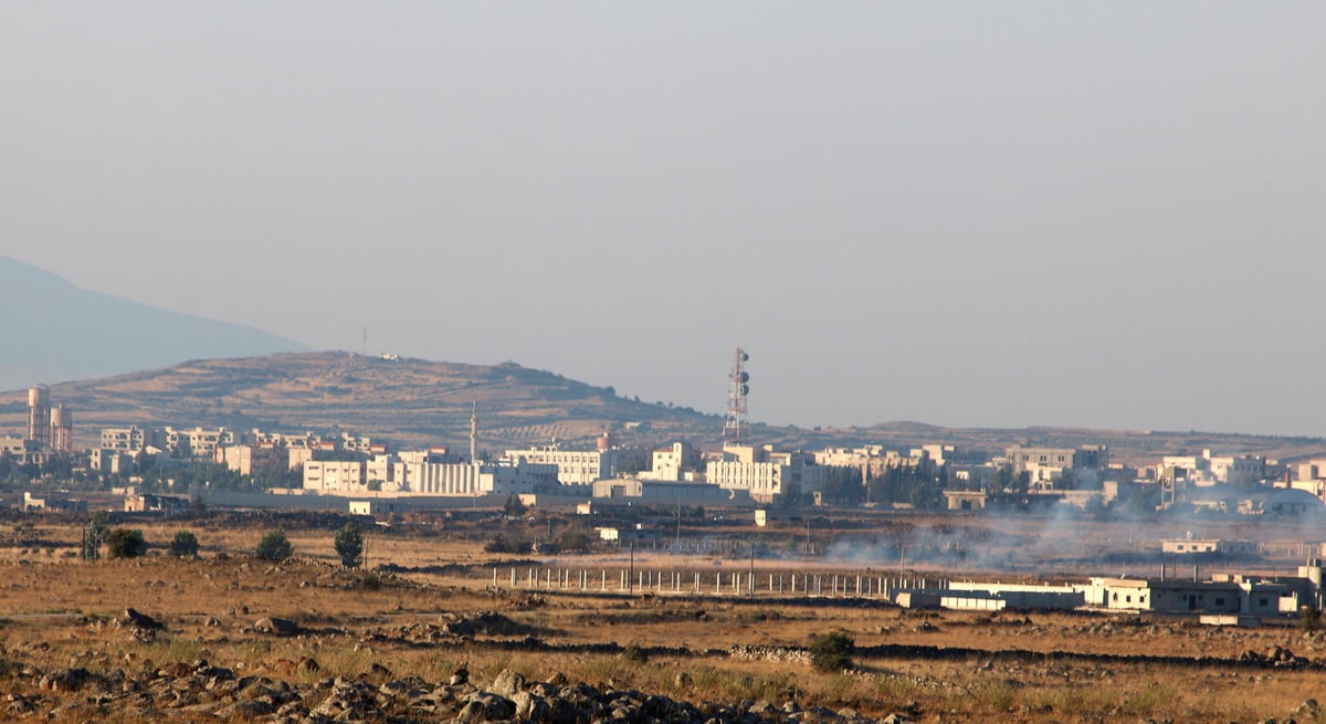 L'armee syrienne decrete une treve unilaterale dans le sud