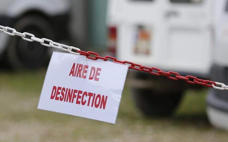 Le virus de grippe aviaire detecte dans les deux-sevres peu pathogene