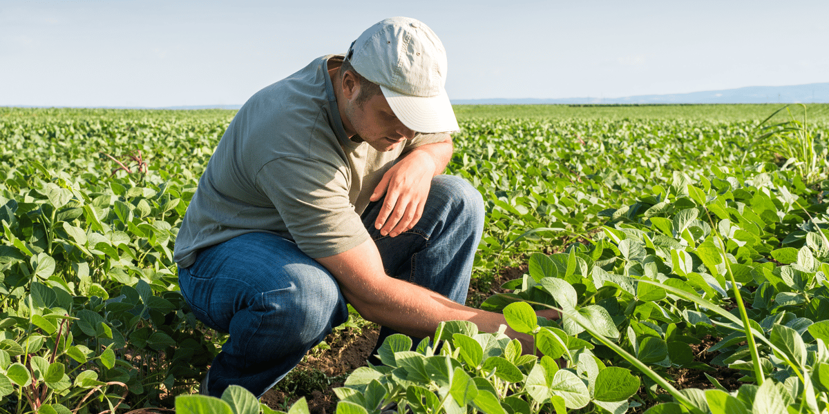 agriculture