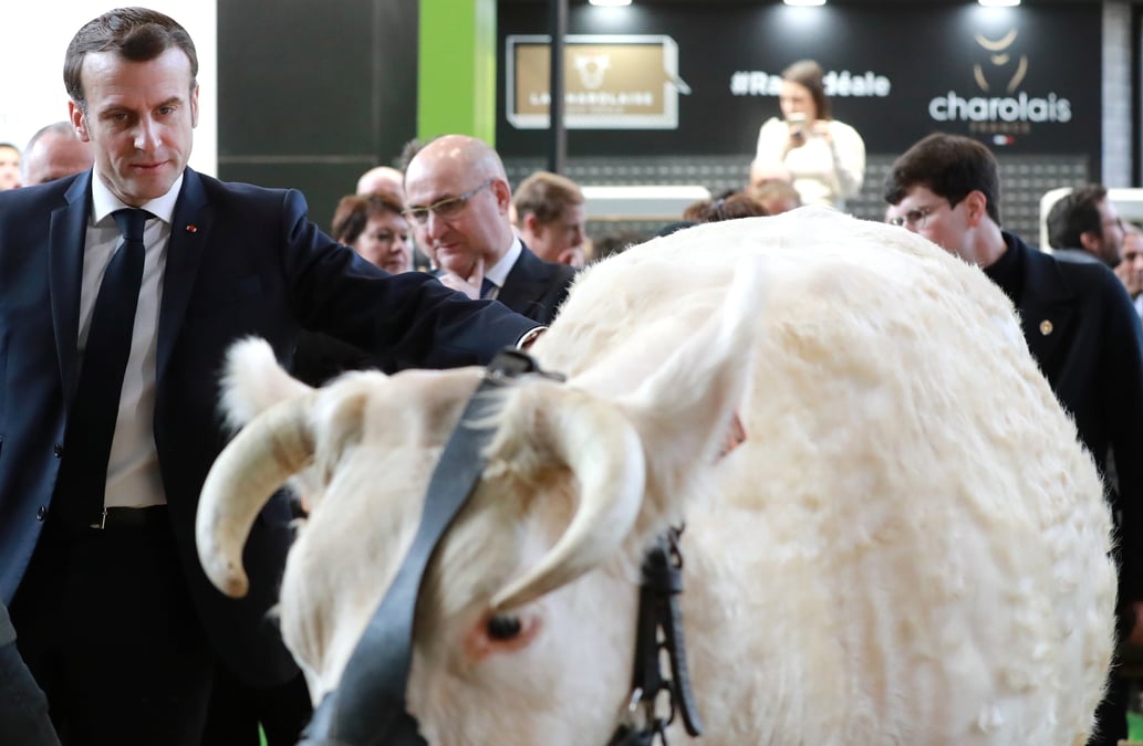 Macron au chevet d'un monde agricole dans le doute