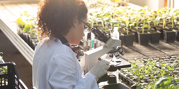 NFL Biosciences développe un candidat médicaments botanique pour le traitement des addictions tabagiques