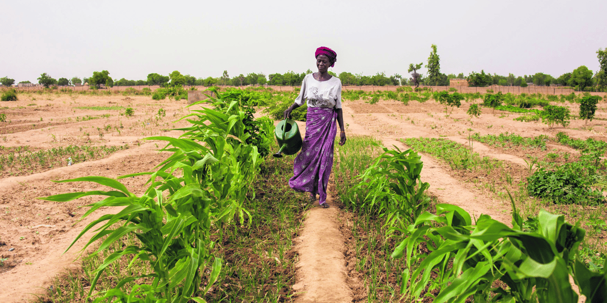 Les femmes dans la transition écologique