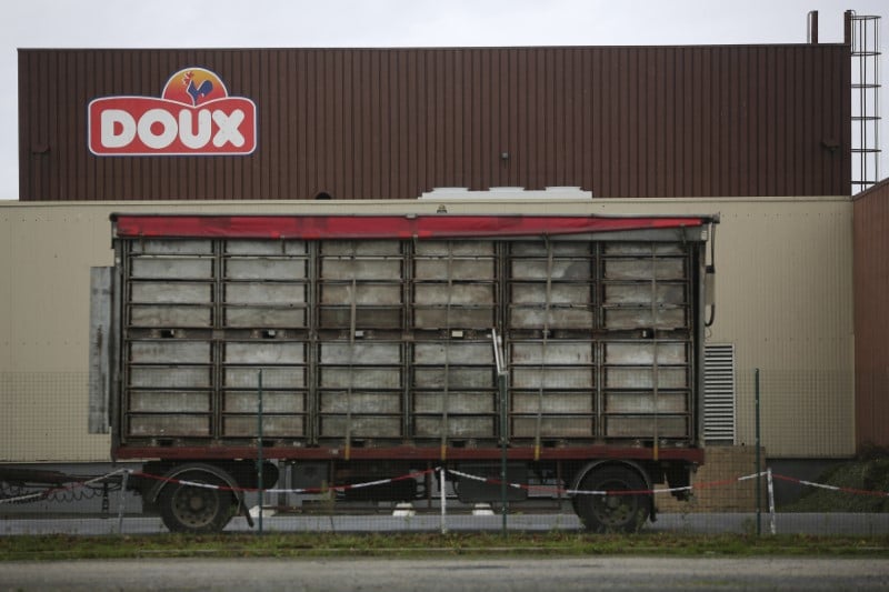Doux place en liquidation judiciaire