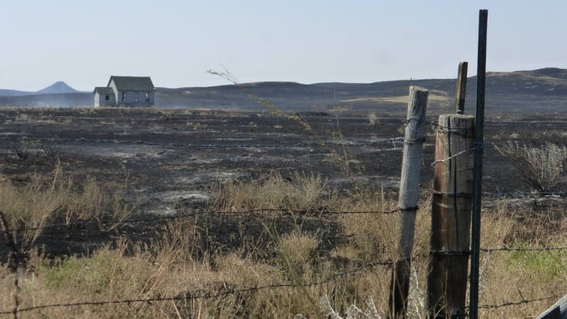 Important feu de foret dans le montana