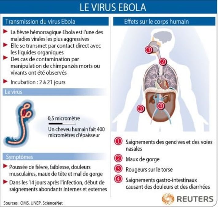 L'épidémie d'Ebola devrait durer deux à quatre mois, dit l'OMS