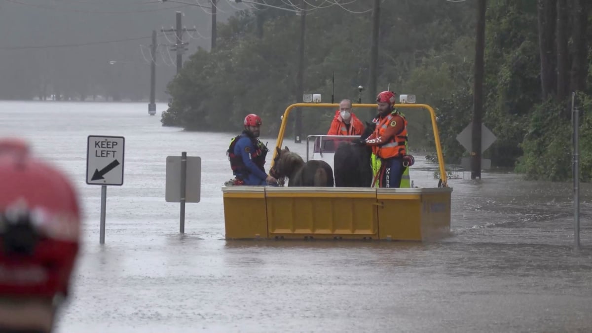 Australie: des milliers d'habitants appeles a evacuer a sydney a cause d'inondations