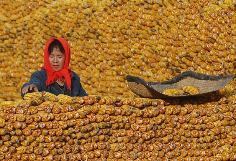 La chine songe a baisser le prix du mais pour reduire les stocks