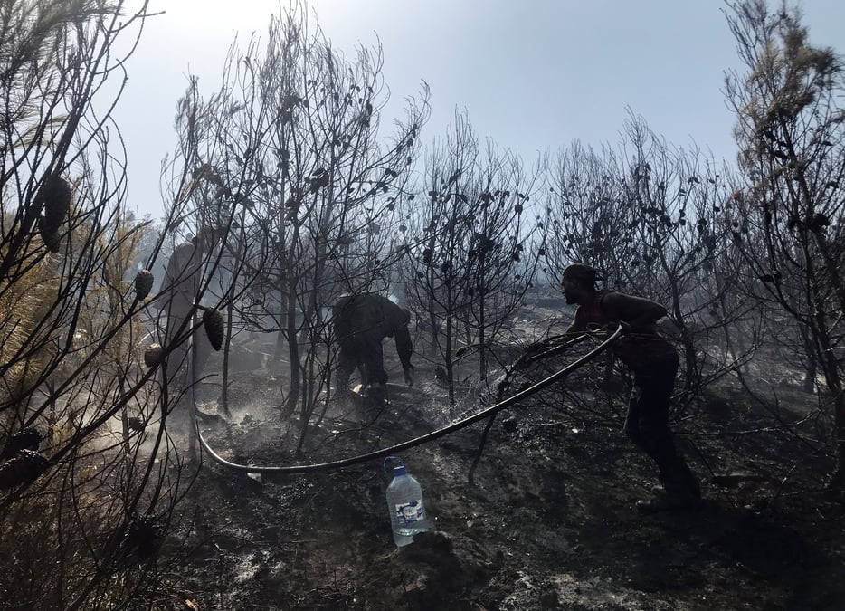 L'algerie accuse un groupe lie au maroc et israel d'etre a l'origine des incendies