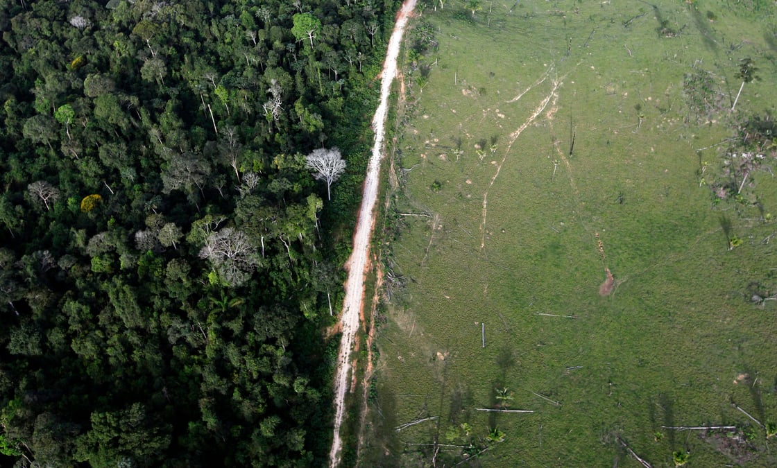 La deforestation en amazonie a augmente en 2020, selon une recente analyse