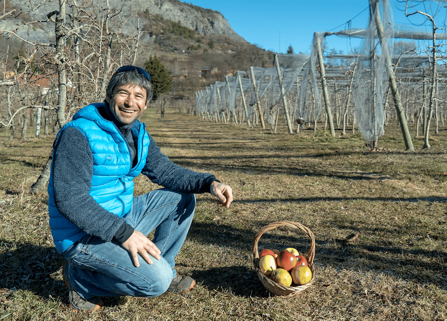 Alpes Coop Fruits