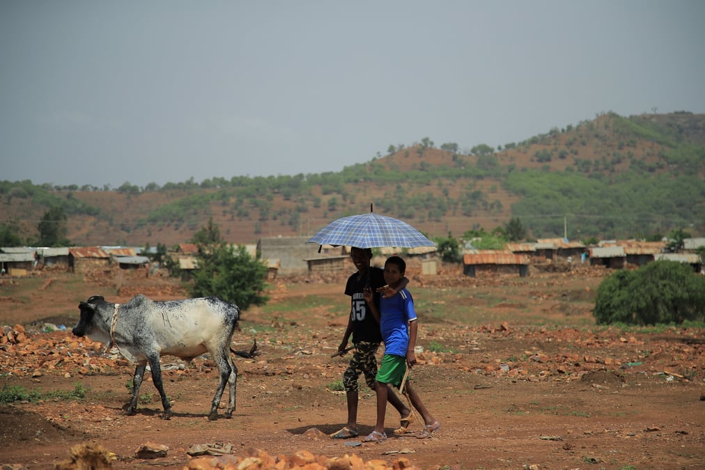 Des ong accusent les forces regionales ethiopiennes de nettoyage ethnique au tigre