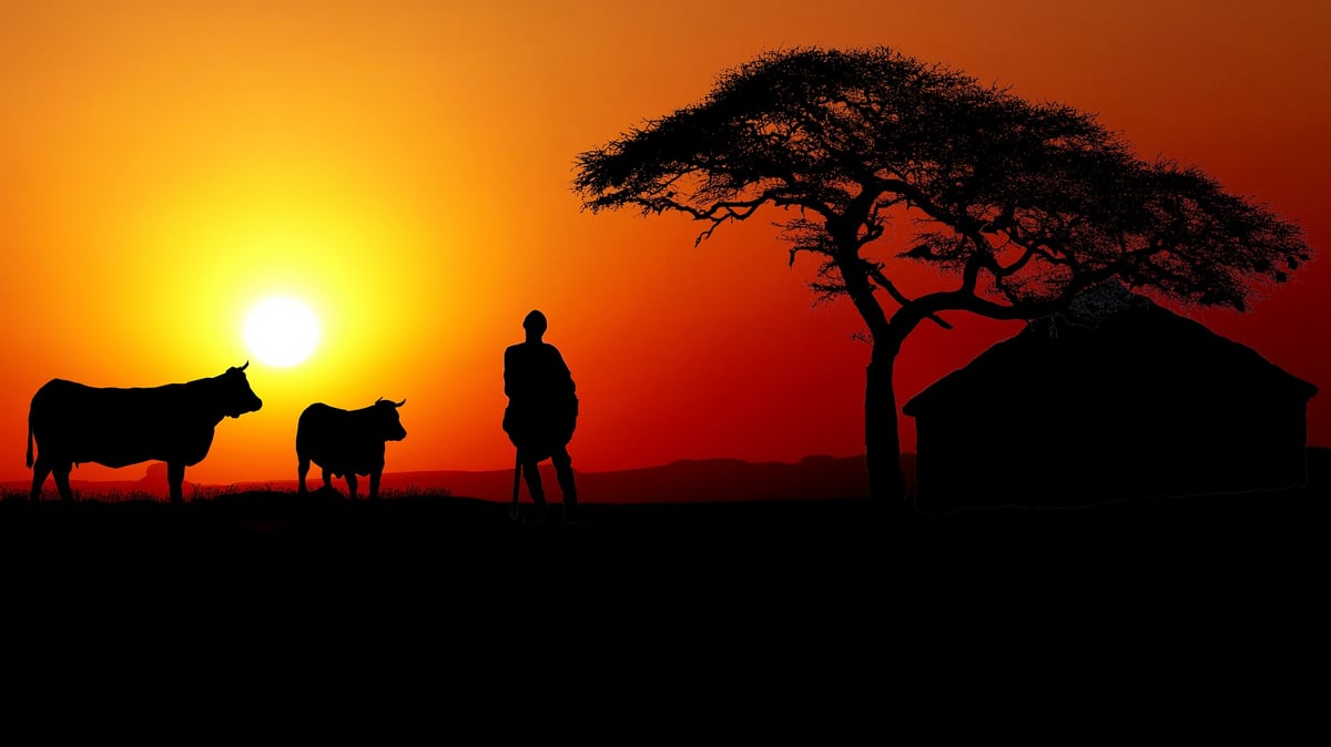 ALTDE_Bientôt un marché commun de l’énergie en Afrique_COPYRIGHT Pixabay.jpg