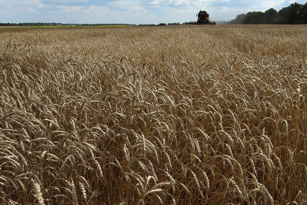 Cereales: l'ukraine s'attend a accueillir un premier navire vendredi, selon officiel