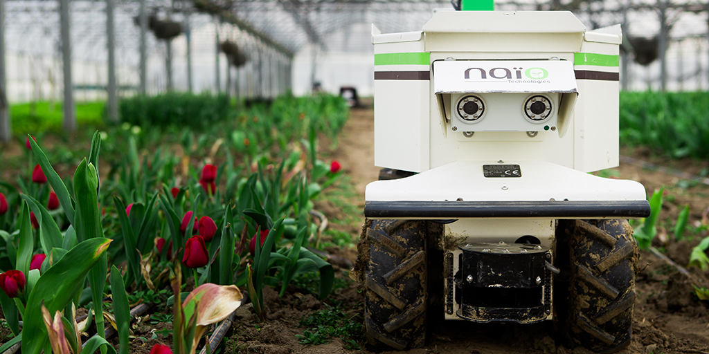 Robot désherbeur Oz, produit par Naïo technologies