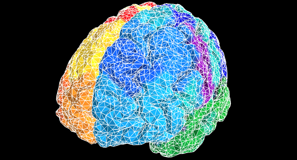 The Virtual Brain