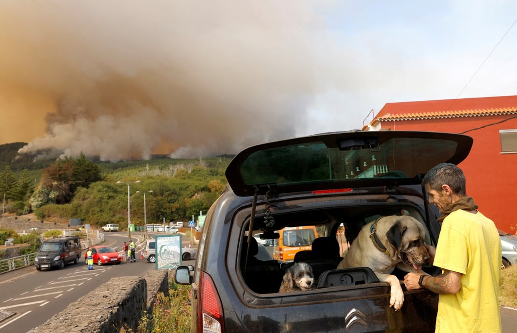 Des arbres brulent dans un incendie de foret a la esperanza sur l'ile de tenerife, en espagne