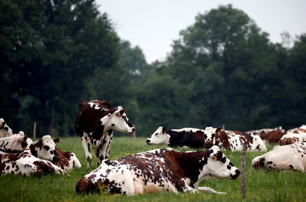 L'union europeenne va tenter une nouvelle fois un compromis sur l'agriculture