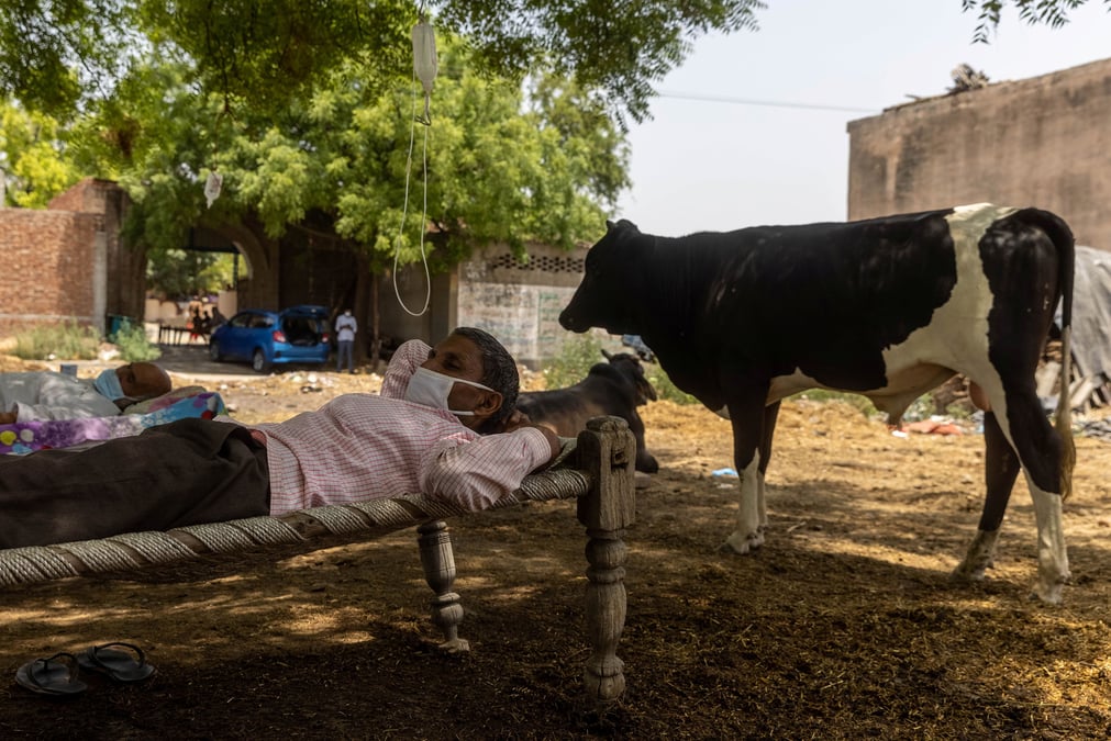 En inde, des villageois soignent leurs malades du covid-19 sous un arbre