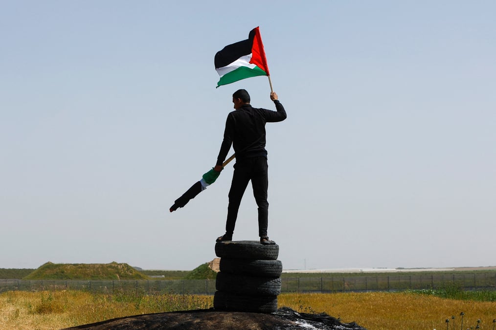 Un manifestant brandit un drapeau palestinien
