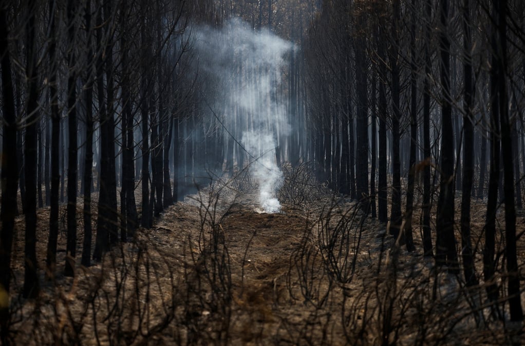 France: pas de "progression significative" du feu en gironde dans la nuit, selon les autorites