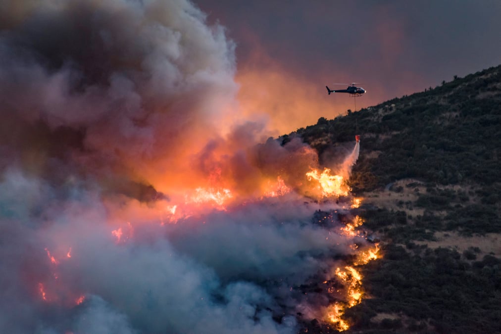 L'incendie aux portes de christchurch (nouvelle-zelande) contenu