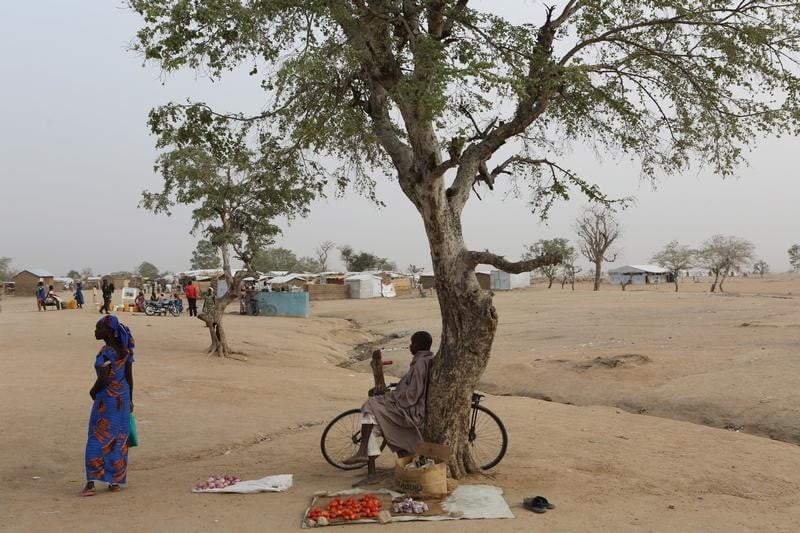 Des refugies nigerians expulses du cameroun
