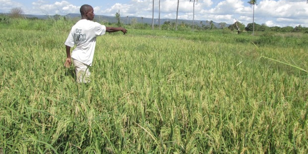 tanzanie fermier agriculture foncier