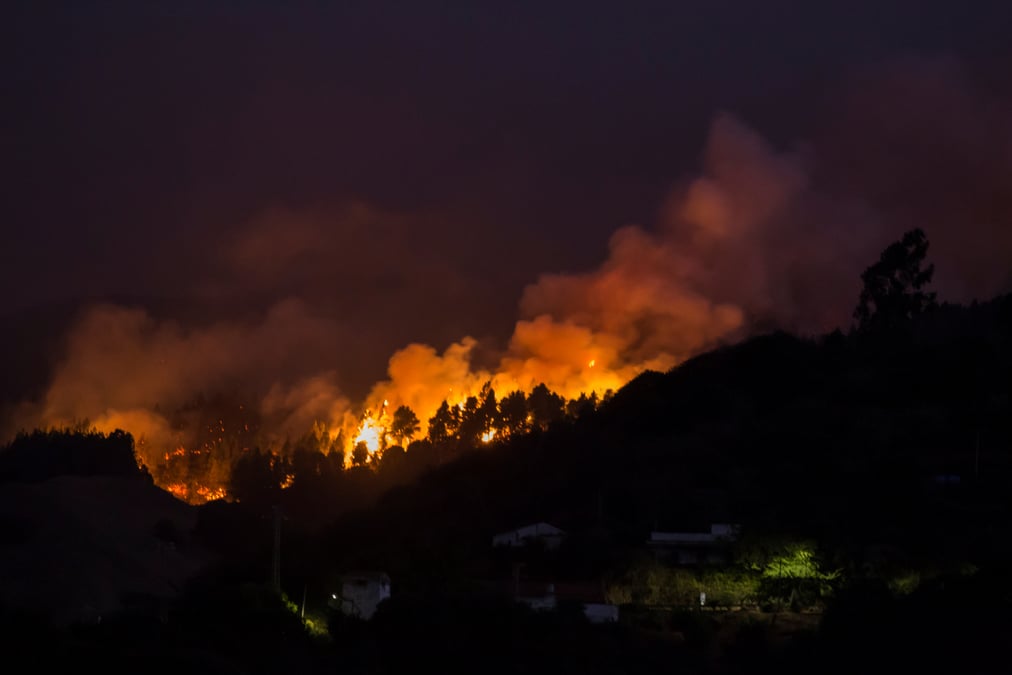 Incendie a la grande canarie, 8.000 personnes evacuees