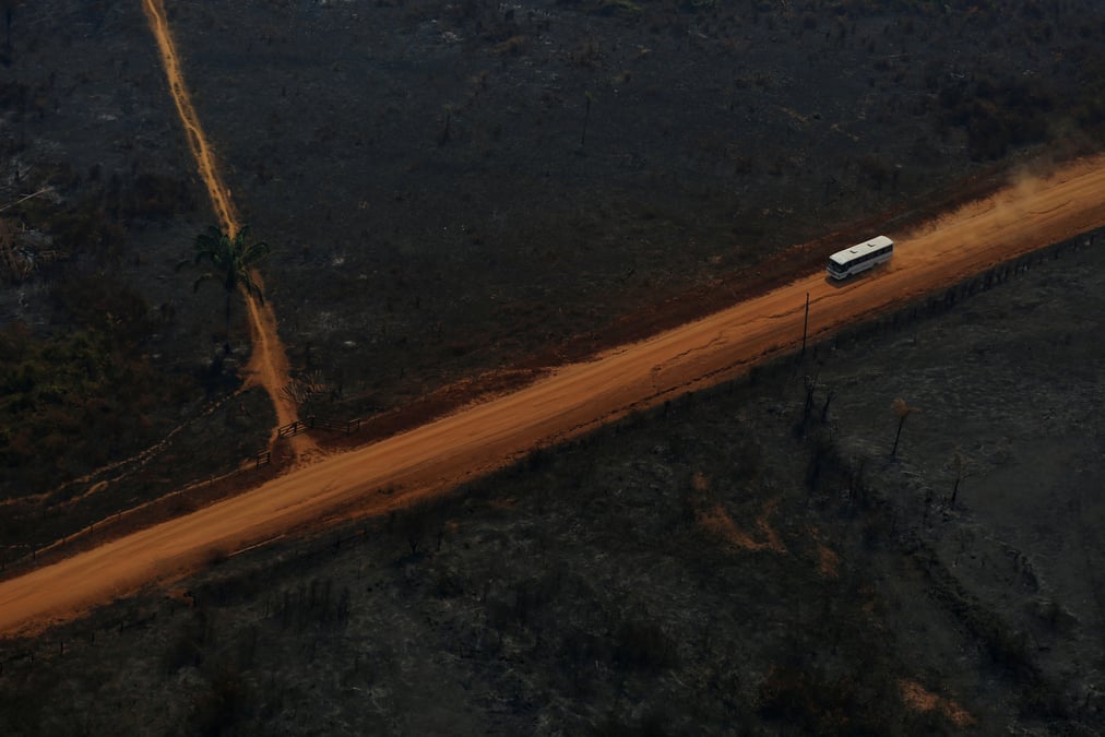 La construction de routes en amazonie pourrait detruire des millions d'hectares de forets, selon une etude