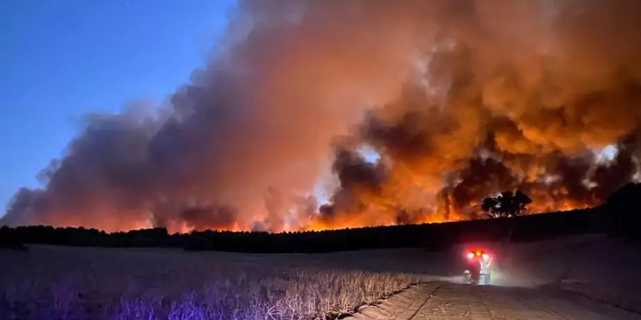 Il y a cinq ans, des méga feux ravageaient l'Australie, détruisant 18,6 millions d'hectares.