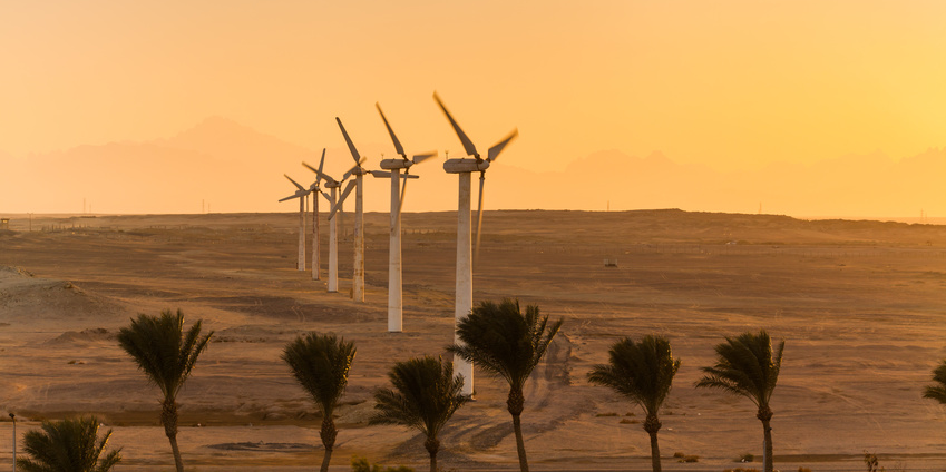 ALTDE_En Afrique, un regain d'intérêt pour l'éolien énergie éoliennes