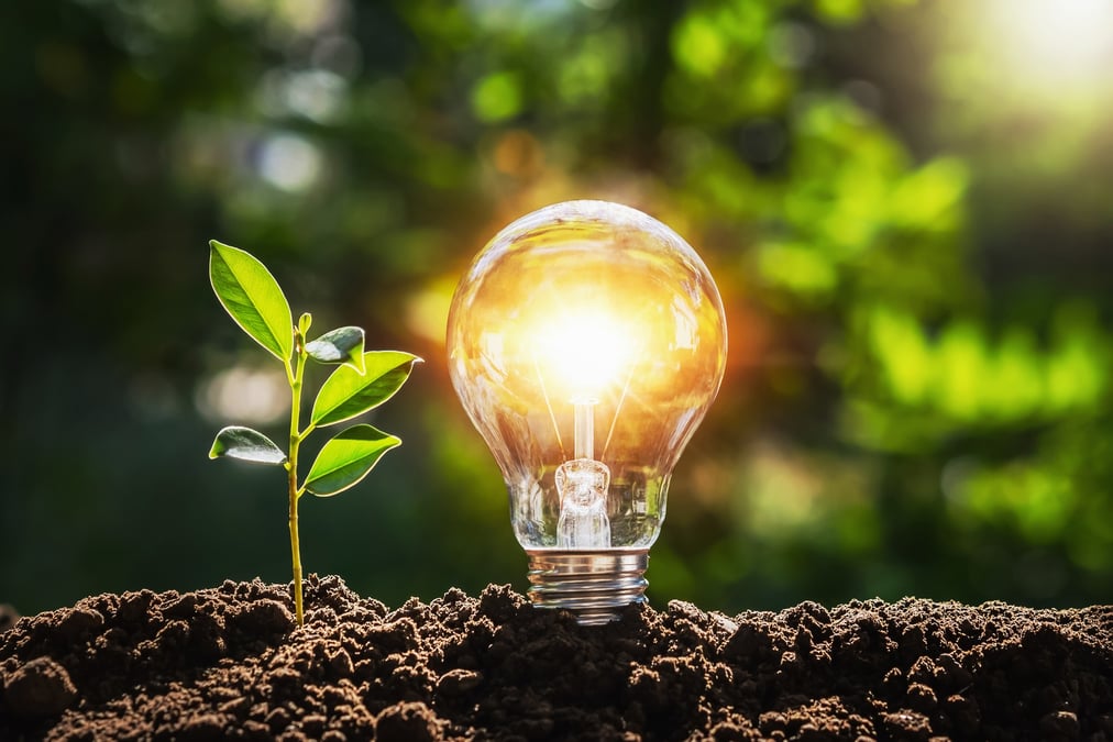 Energie renouvelable