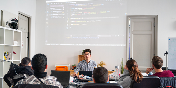 Wild Code School