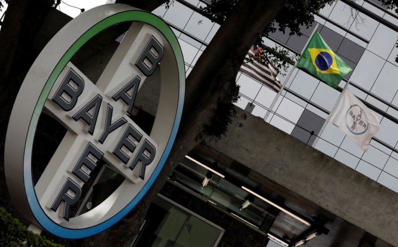 Le bresil approuve sous conditions le mariage bayer-monsanto