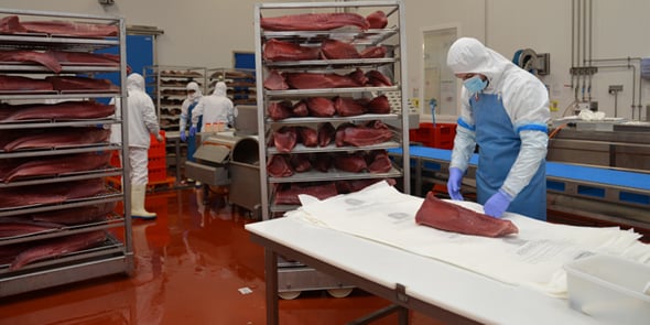 L'une des chaînes de conditionnement de la nouvelle usine