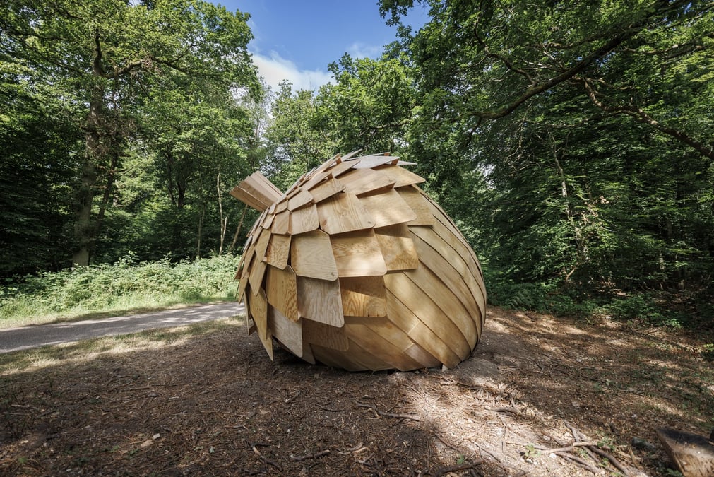face au changement climatique, aux incendies et aux maladies, les forêts françaises voient leurs capacité d'absorption de carbone diminuer.