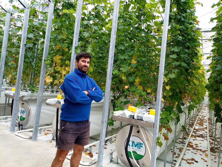 Ronan Jehanno, chef du département matériel végétal à la Chambre d'agriculture de Gironde dans la serre insect-proof de Blanquefort.