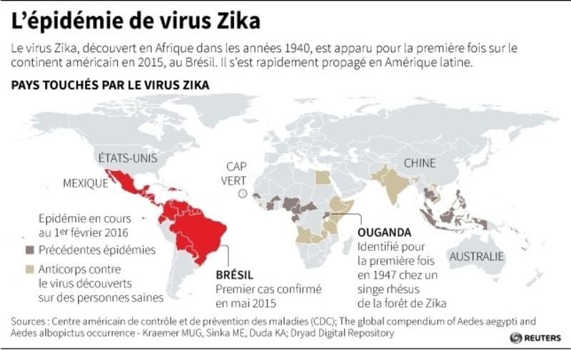 L'epidemie de virus zika