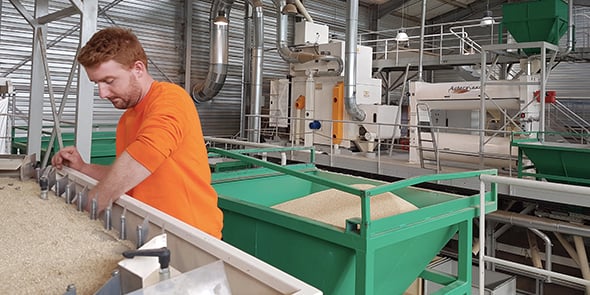 Asteraseed, spécialisée dans la production de semences potagères dans l'Aude