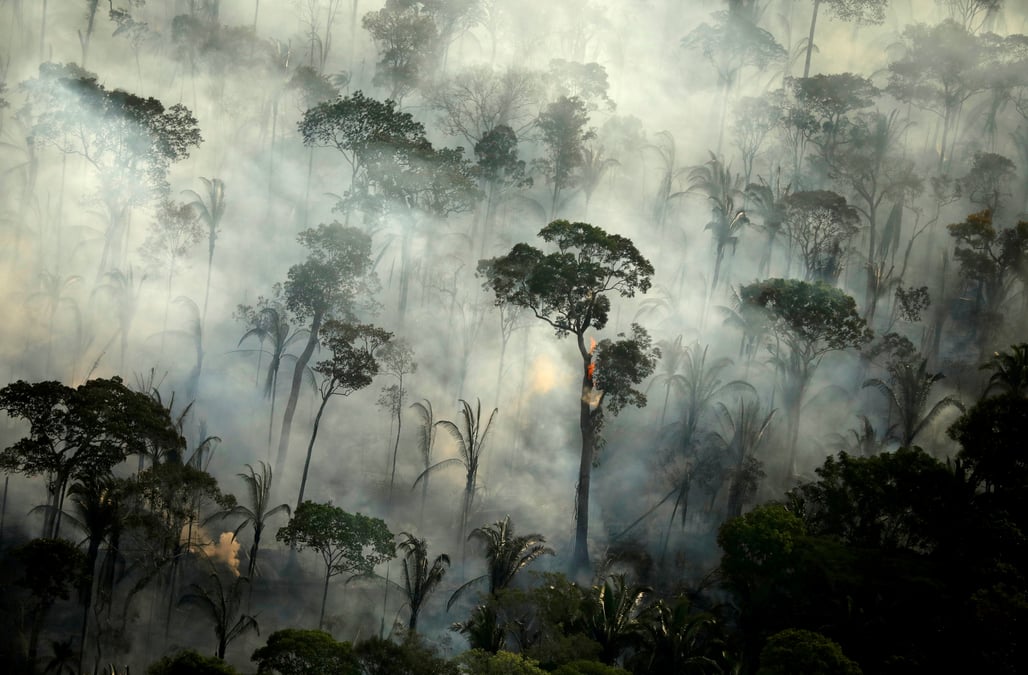 Bresil: l'amazonie a subi en juin son plus grand nombre d'incendies depuis 2007