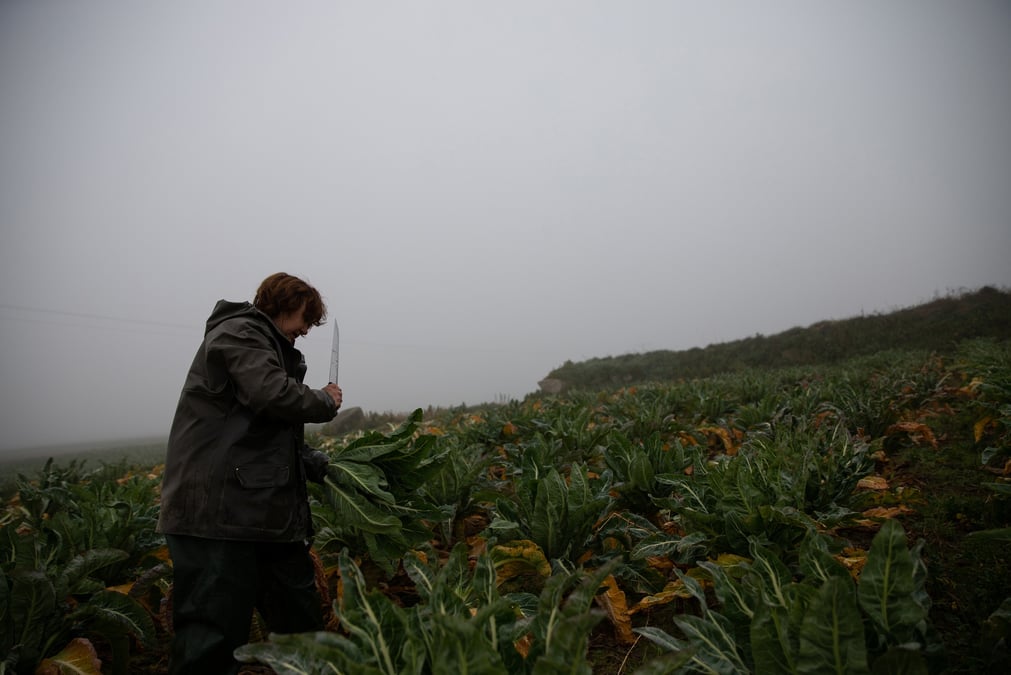 Les revenus et les retraites des agricultrices sont inférieurs à ceux de leurs pairs masculins.