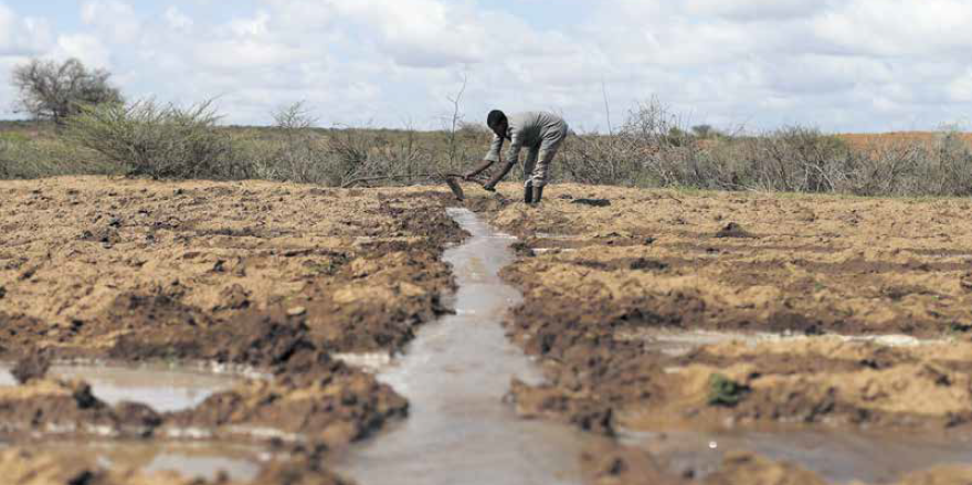 Agriculture terres irrigation labour