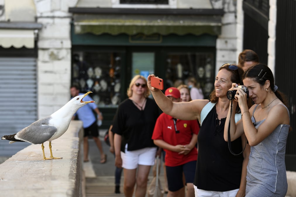 Coronavirus: l'italie enregistre 12 nouveaux deces, 276 nouveaux cas