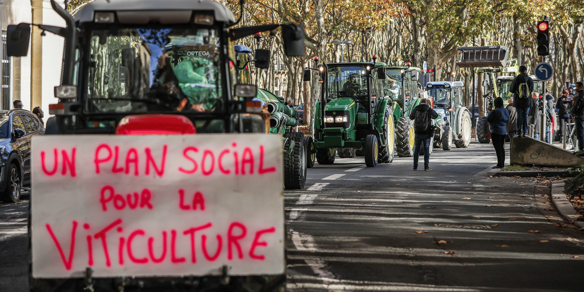Manifestation Vigtnerons Bordeaux I