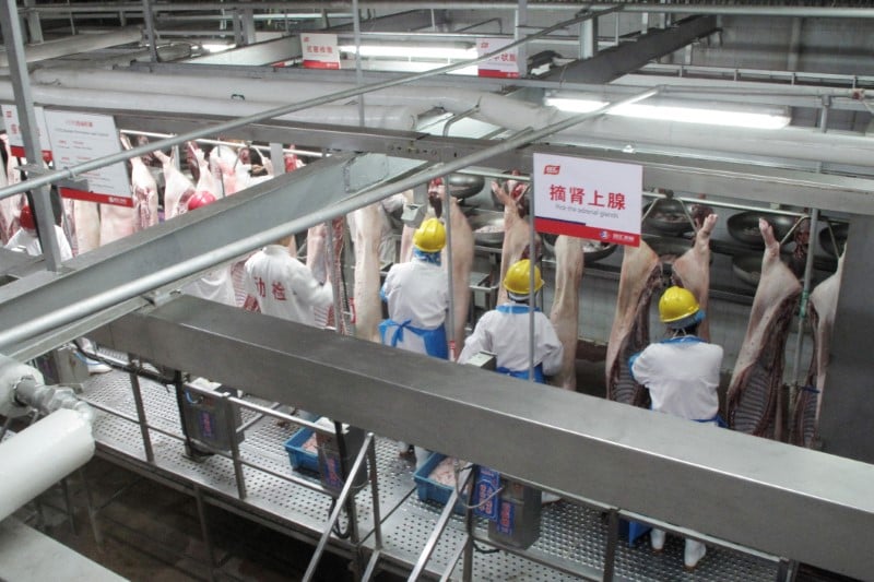 Un abattoir ferme apres un second cas de peste porcine en chine