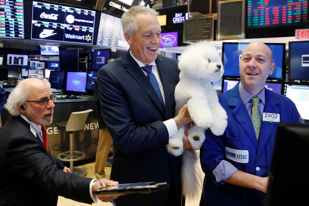New york finit stable