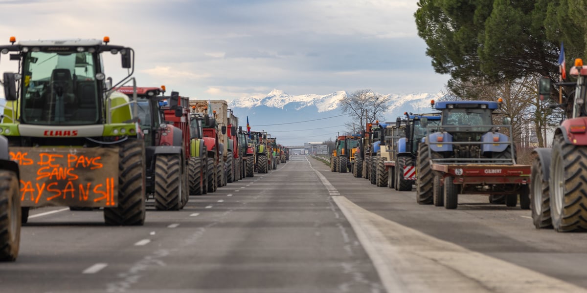 L'autoroute A64 est bloquée, au niveau de Carbonne (Haute-Garonne), par des agriculteurs en colère, depuis jeudi 18 janvier.